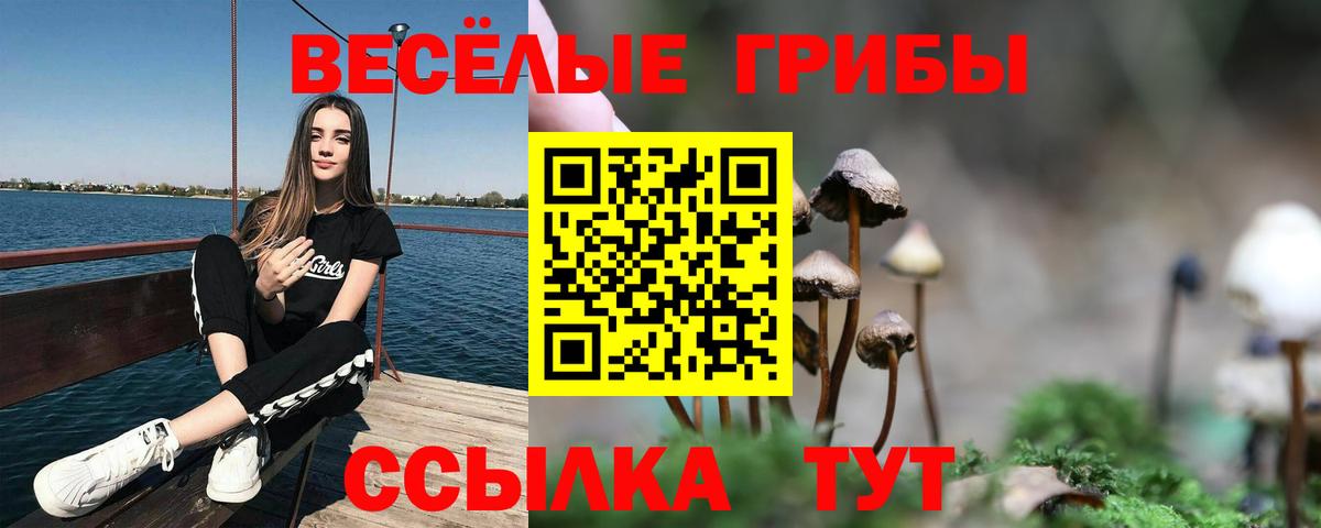 Пенза  Галлюциногенные грибы Magic Shrooms  Вход с VPN 