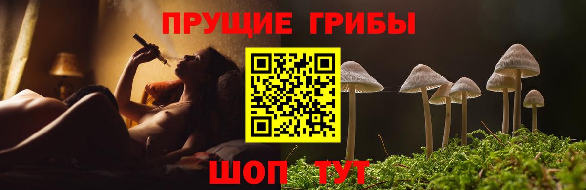 Псилоцибиновые грибы прущие грибы Пенза